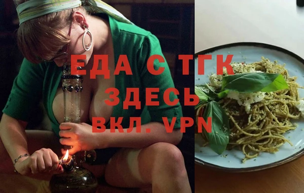 индика Медногорск
