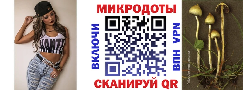 как найти закладки  Ачинск  ссылка на мегу сайт  Галлюциногенные грибы мицелий 